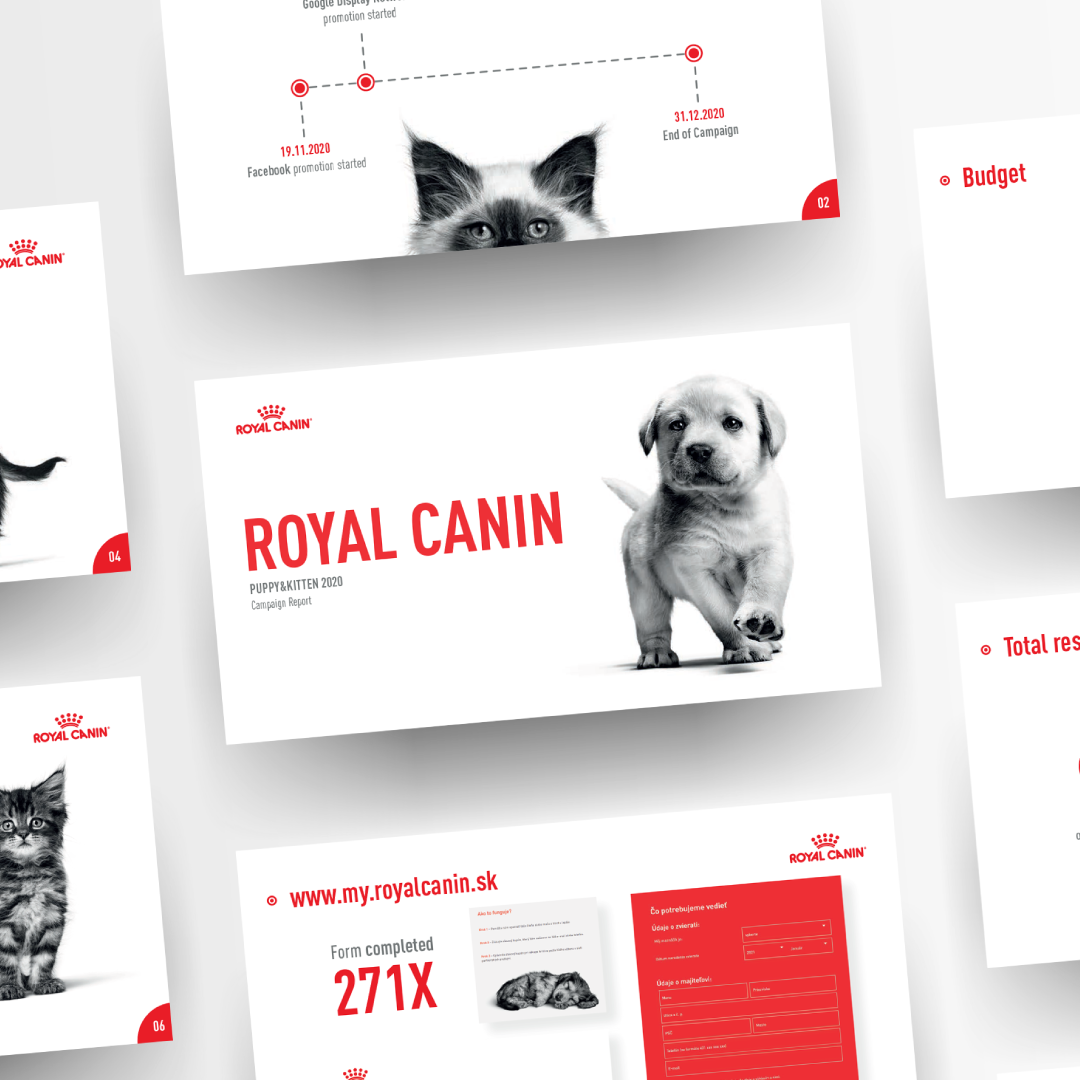 kampaň royal canin